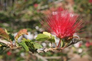 中年女性が知っておくべき不妊対策と検査の重要性は？