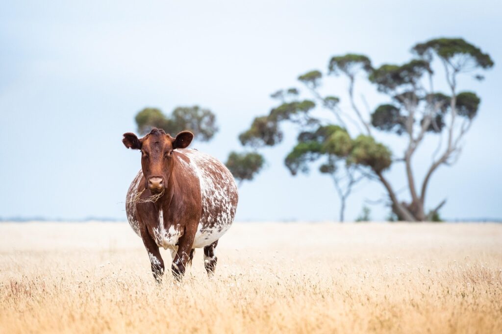 中年女性が妊娠しにくい状況を改善するための運動は？
