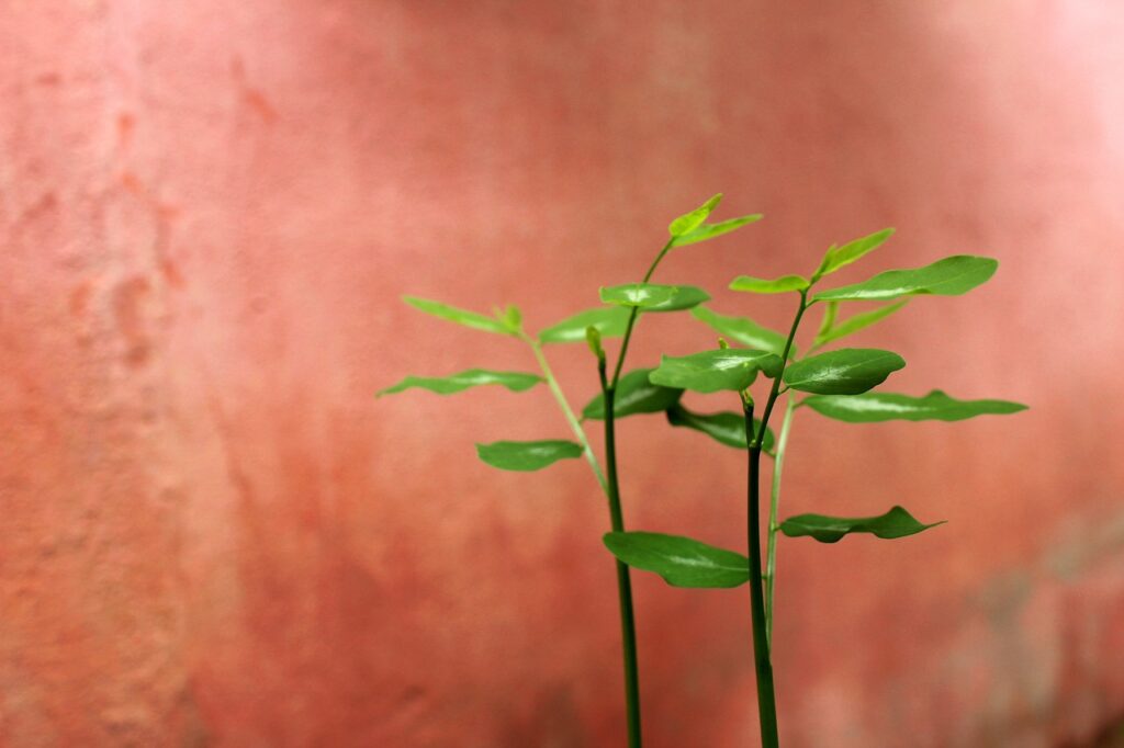 HRTを利用した妊活の効果とは？