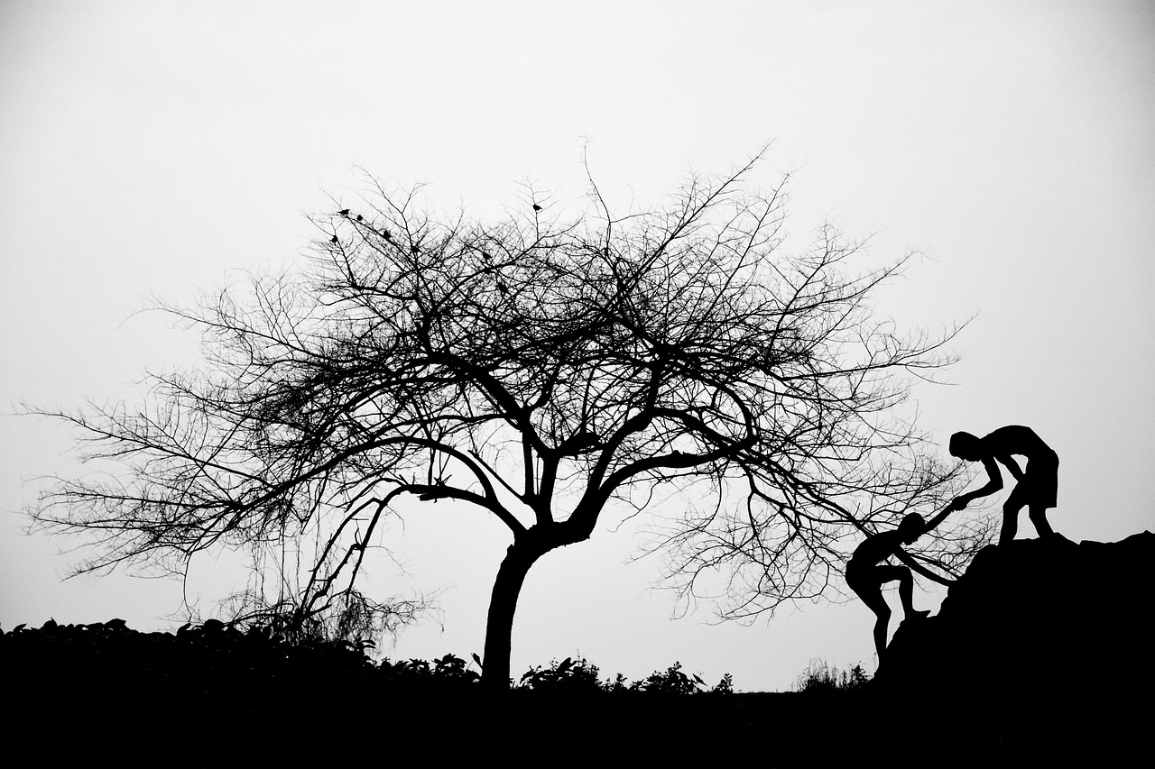 シリンジ法の成功率は実際どれくらいなのか？