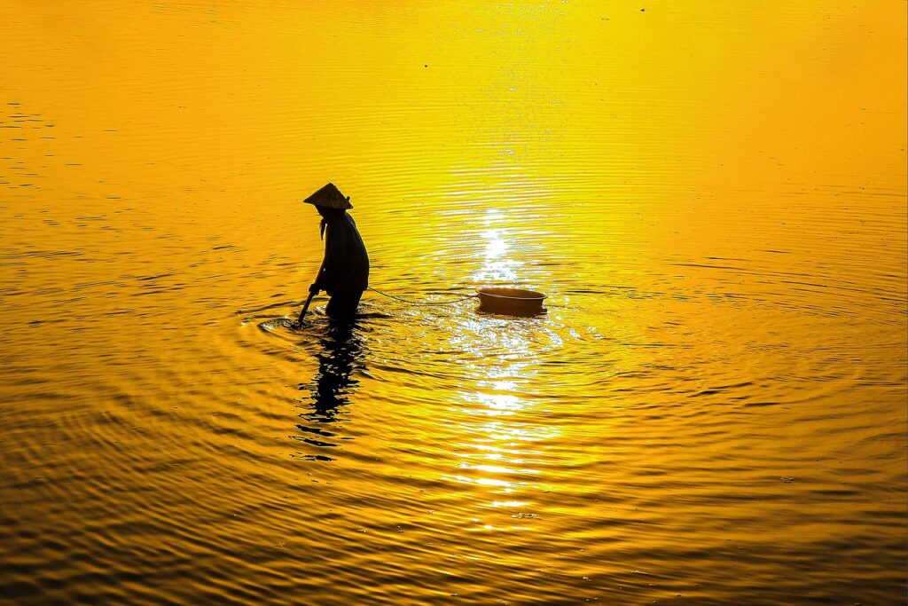 マカの妊活における効果とは何ですか？