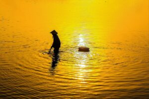 マカの妊活における効果とは何ですか？