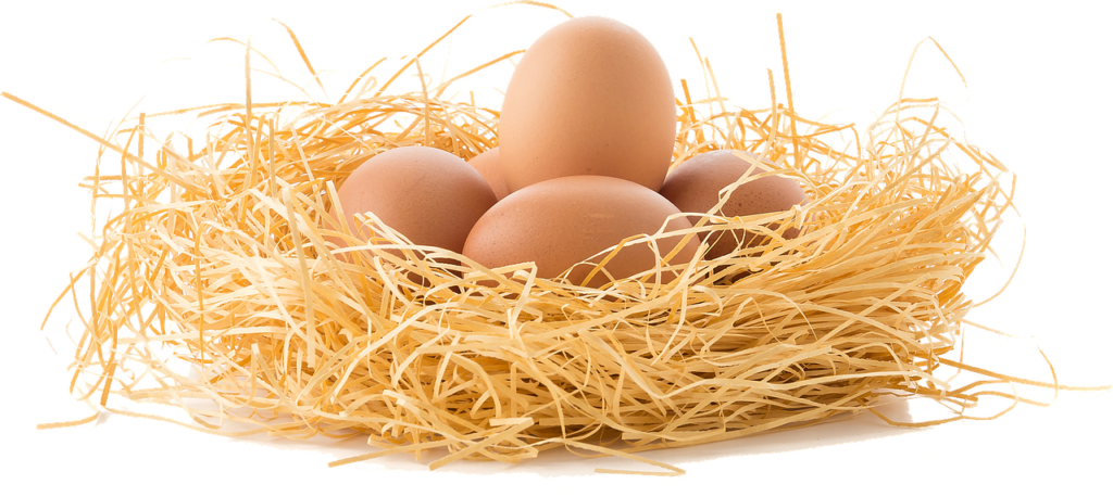 卵巣の年齢を検査する方法とは？