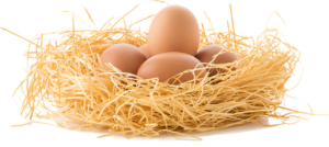 卵巣の年齢を検査する方法とは？