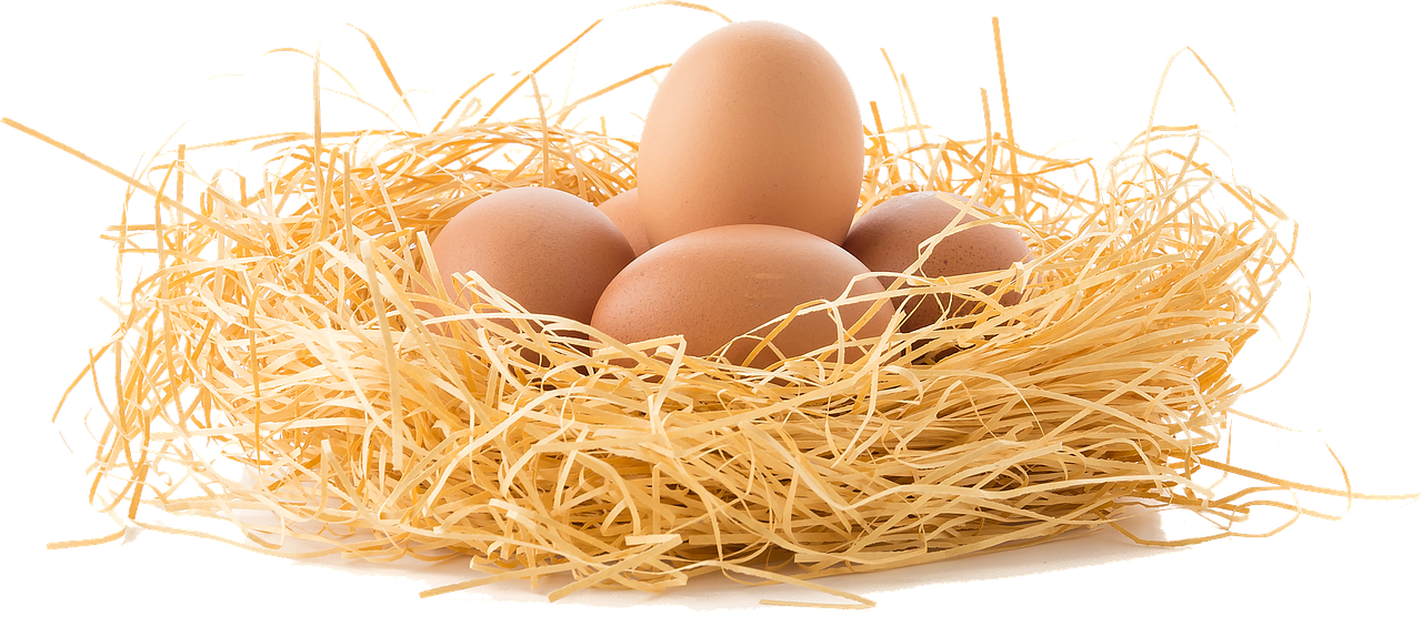 卵巣の年齢を検査する方法とは？