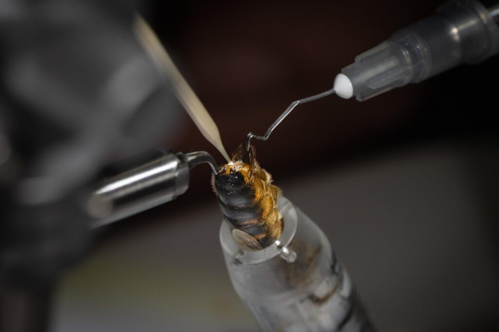 40代の女性が知りたい人工授精の成功率はどのくらい？