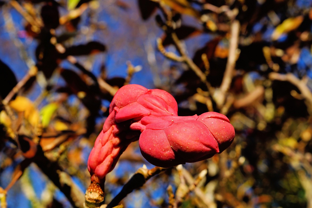 40代の女性における卵胞数の平均はどれくらい？