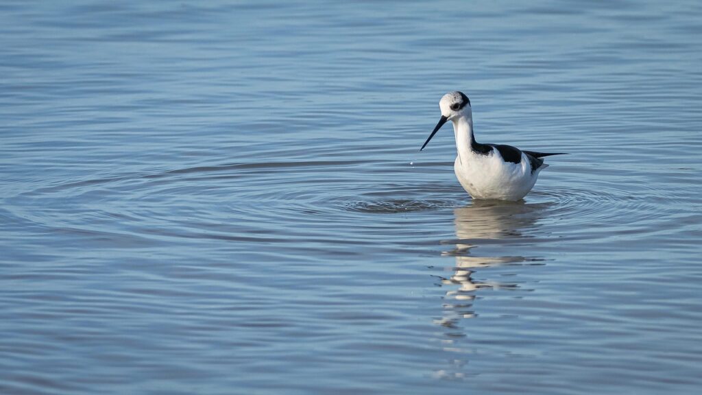 子宮の奇形がある場合でも妊娠は可能なのか？