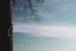 男性の不妊治療に効果的な方法とは？