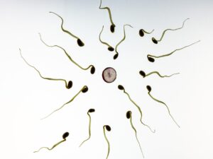 40代の体外受精で妊娠率を上げる方法は？